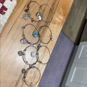 Alex and Ani Silver Skull Charm Bracelet